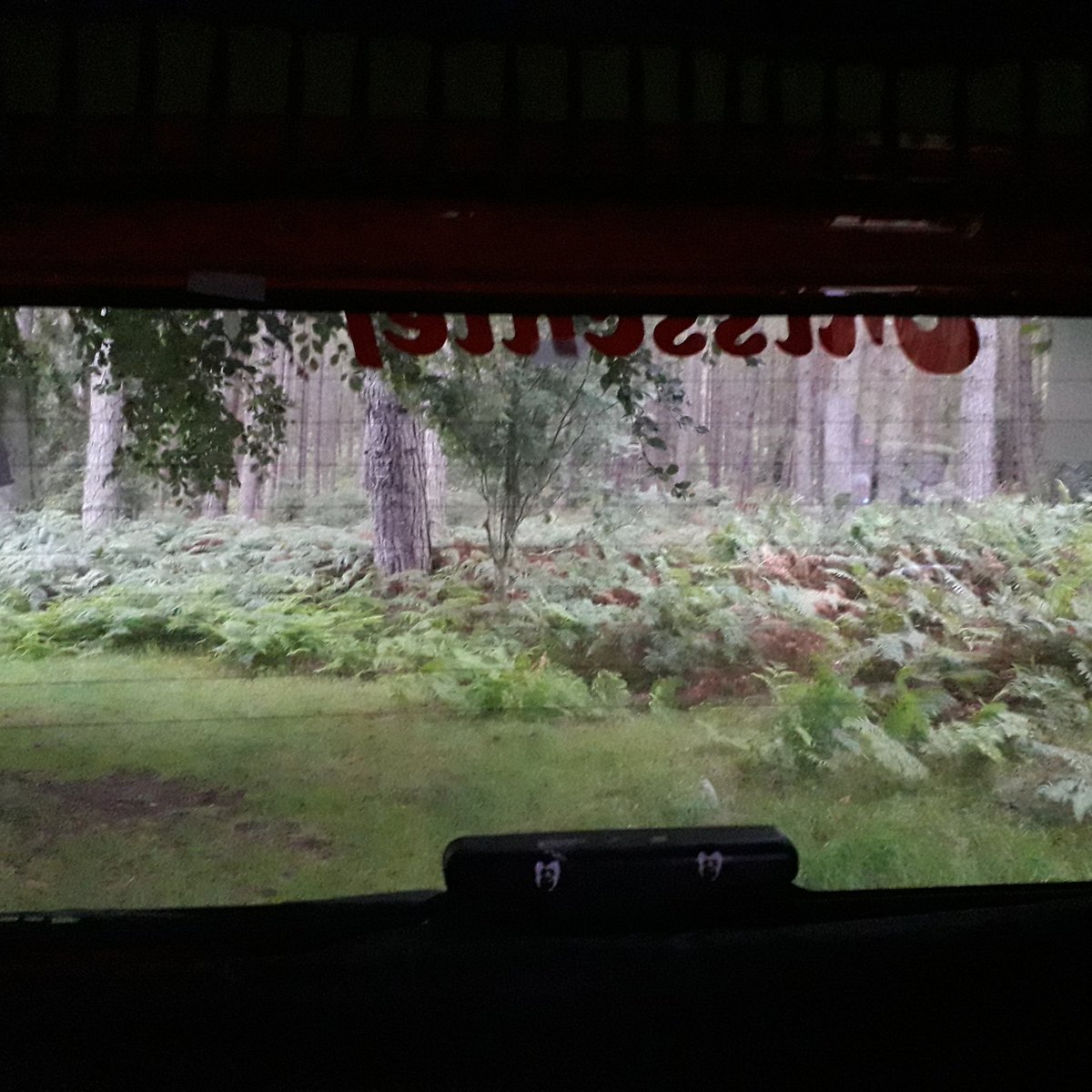 orangevanlady's tweet photo. Nope, not watching a film....this is the view out of my tailgate tonight https://t.co/rap8nDQfZ9