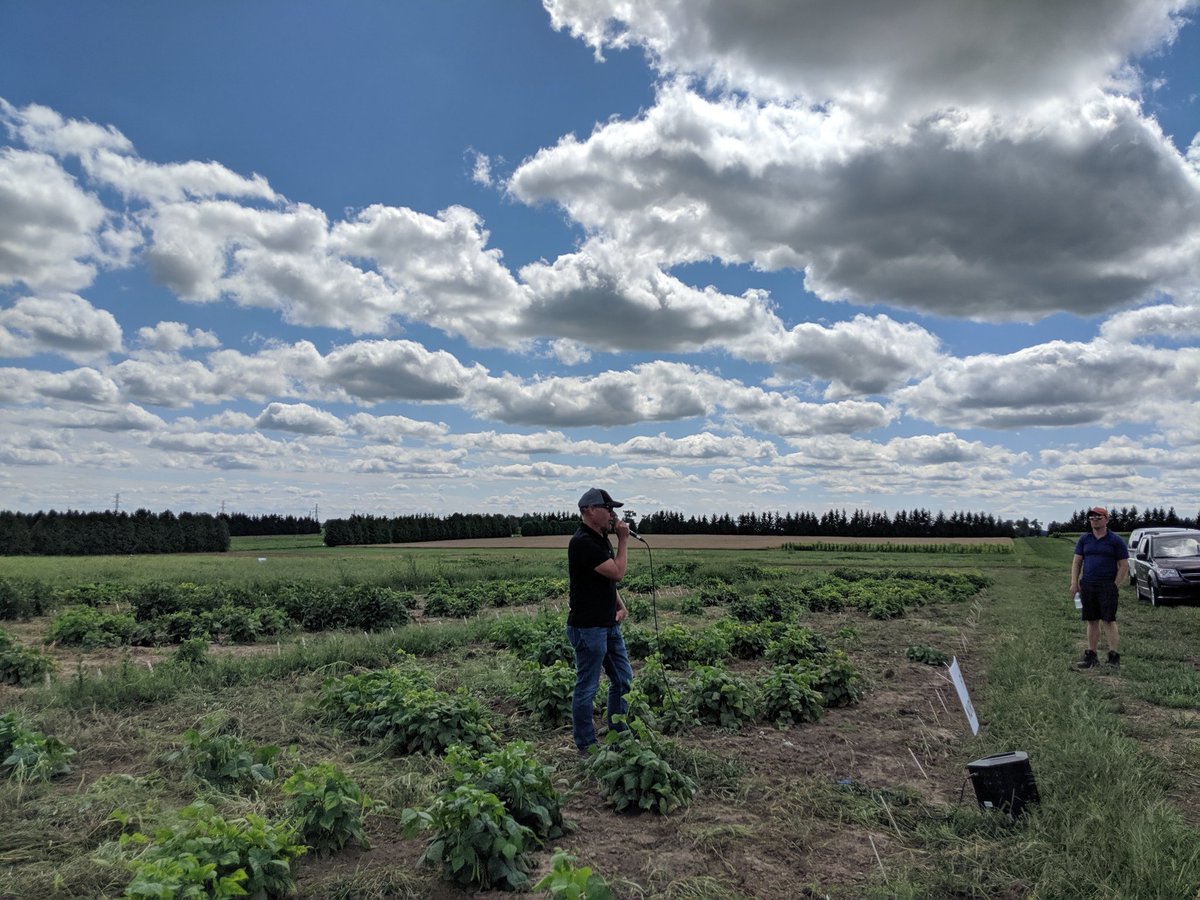 Tom knows beans...
<a href="/UoGDryBean/">UoGDryBeanBreeding</a>