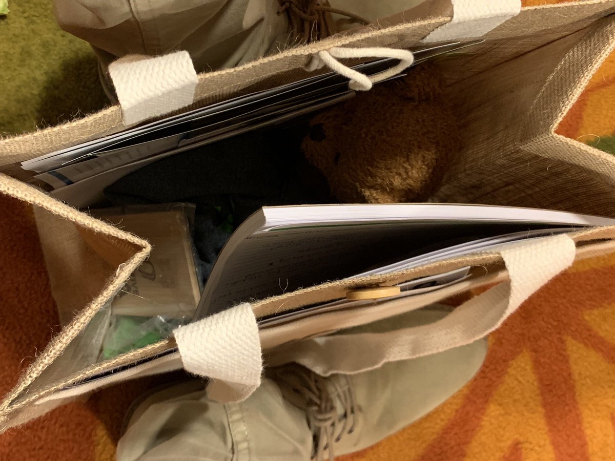 Eddiek_'s tweet photo. Bag full of goodies 🤗 thanks to all the vendors! #HRNE2019 #HRStateconference https://t.co/WZLWyYZMyl