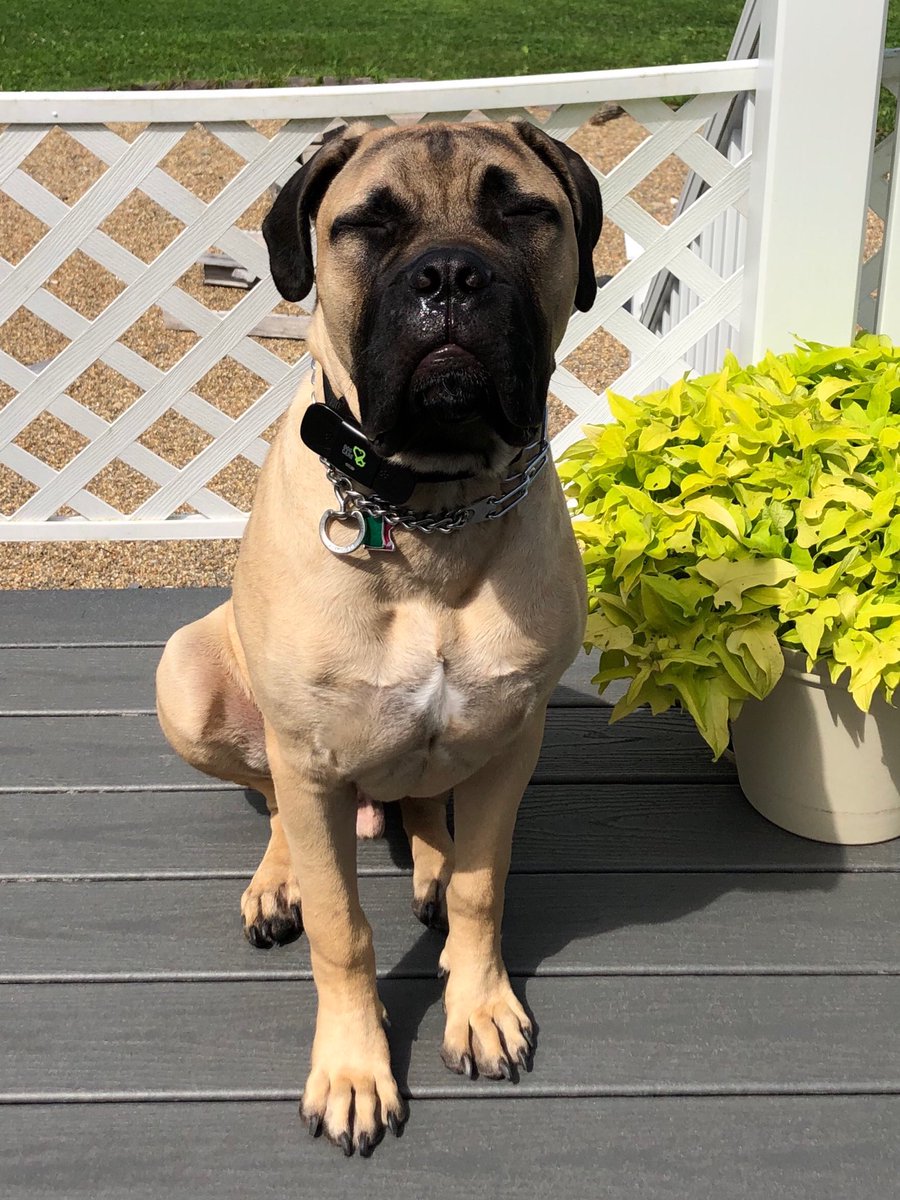 BUGINSP's tweet photo. I need my sunglasses! https://t.co/PYFlboQgsq