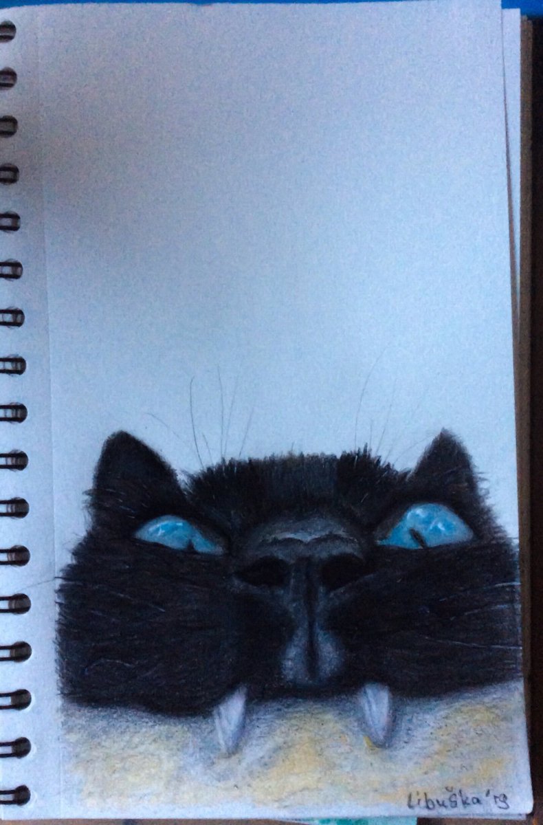 Ilovecolouring's tweet photo. Kattekop https://t.co/IEZN7EhmRn https://t.co/ed9jkAFWQ1