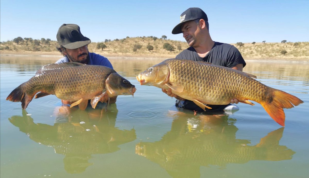 Dobletes veraniegos / ORELLANA Anis