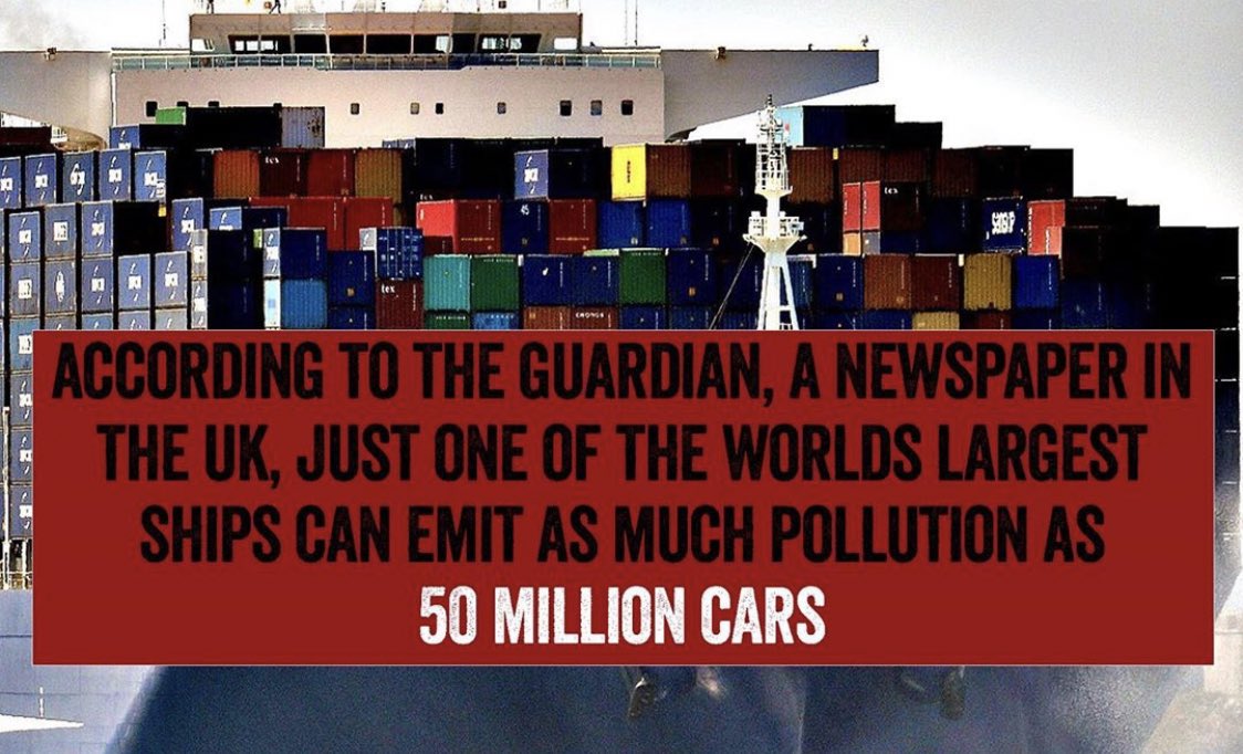 evan hafer tweet media