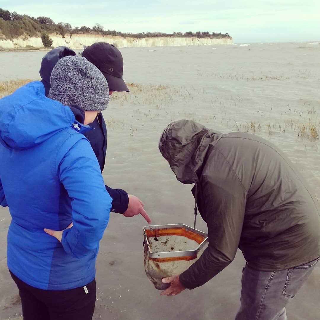 FstoneFringe's tweet photo. In the #SALTFest programme, there really is plenty to try for all ages. On Thurs 18 September, return to your childhood &amp; join us for a morning of rock-pooling! Zoë Stevenson from #guardiansofthedeep will show you the best place to look for snails &amp; how to pick crabs correctly! https://t.co/AgK9xGL785