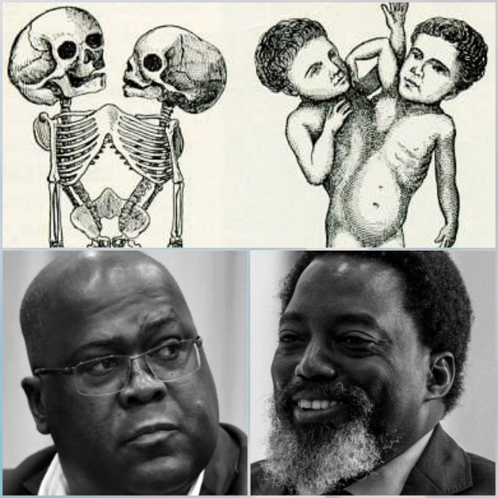 RatelTv1's tweet photo. LES FRÈRES SIAMOIS DE LA RDC. VOILÀ À PEU PRÈS EN IMAGE CE QU'EST LE SYSTÈME QUI DIRIGE ACTUELLEMENT EN RDC. https://t.co/GkKi6nivFB