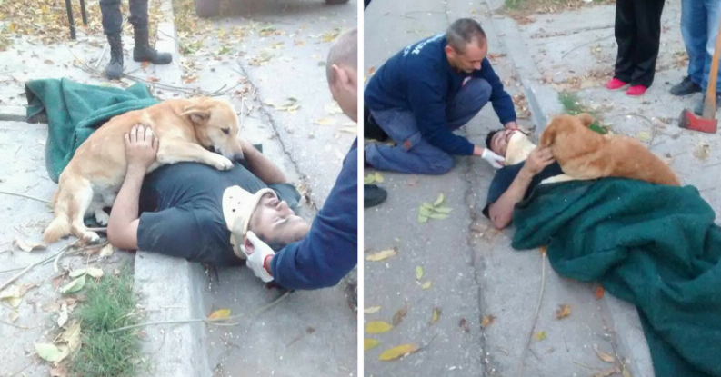 LaLey949's tweet photo. Sufrió un #accidente y su #perro lo acompañó en todo momento: https://t.co/9DM9Wic5YM https://t.co/RYyGW6qAxo