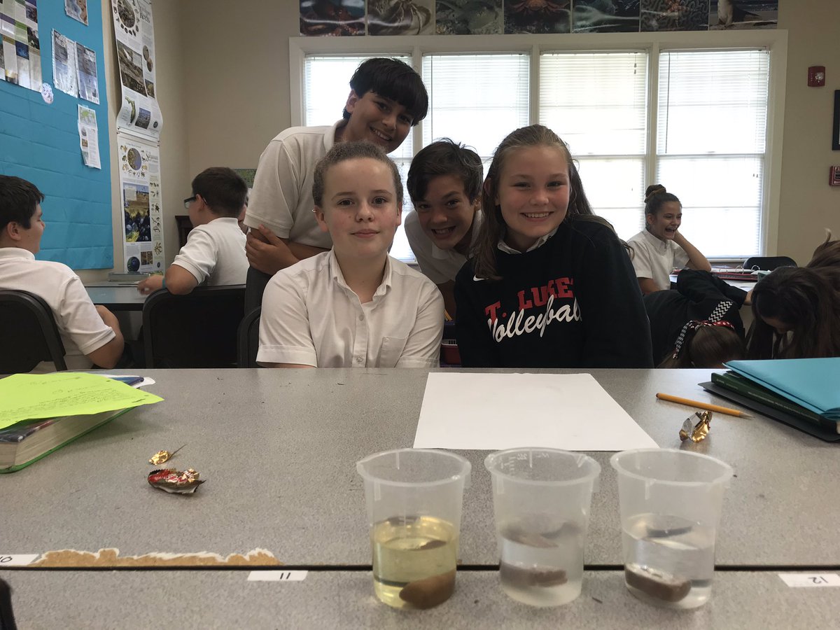 kperez919's tweet photo. Life Science class designed an experiment on buoyancy and identified their variables. @SLWildcats  #scientificmethod #wearestlukes https://t.co/Q40Ie8l9Im