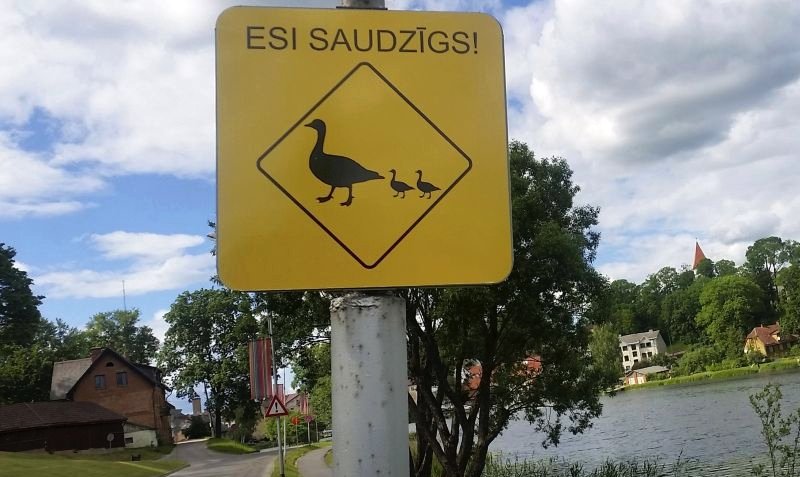 Šeit jau kādu laiku valda klusums, jo dzīvība un darbība ir pārcēlusies uz konkrētāku dzīvnieku aizstāvības projektu kontiem:
@Zootehnikums
@RigaSave
Tie atrodami arī Facebook un Instagram. Priecāšos, ja pievienosieties! Sandris