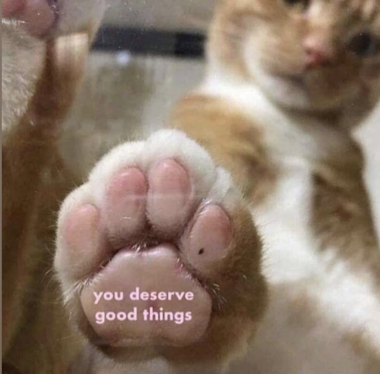 Respectful Memes (@respectfulmemes) on Twitter photo 