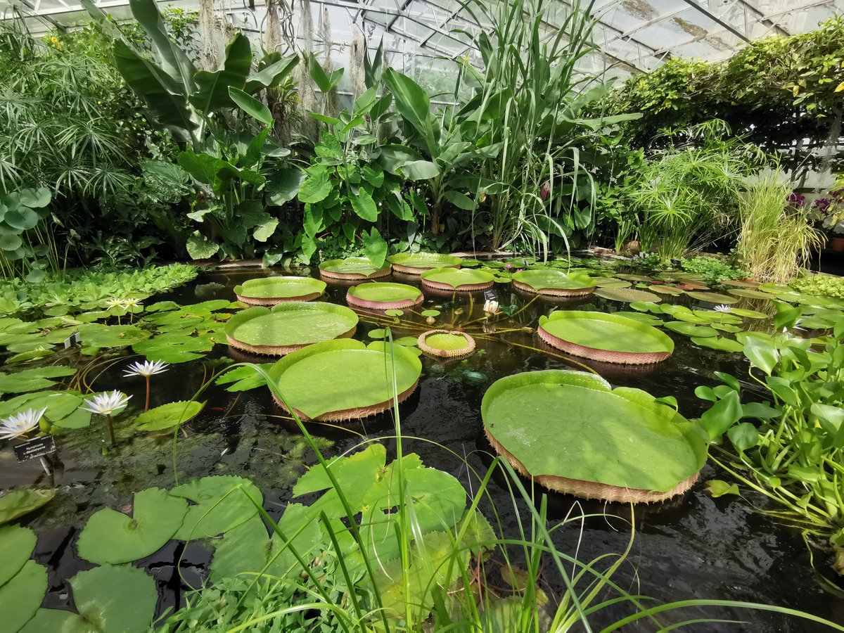 Chris Thorogood tweet media