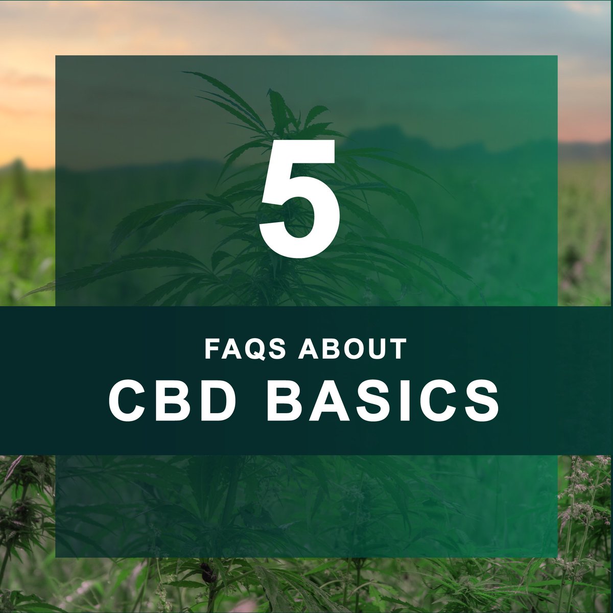 US Hemp Roundtable tweet media