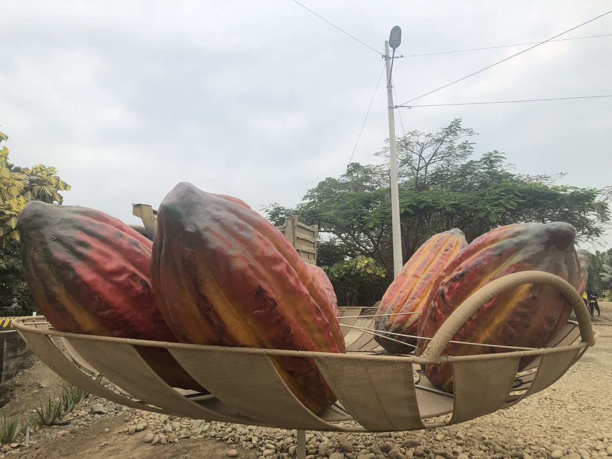 Dicen que el ecuatoriano, es el mejor cacao del mundo, he visitado la Hacienda San José <a href="/chocosanjose/">Chocolate San José</a> cerca de @GyeTurismo Guayaquil y os cuento mi experiencia:  bit.ly/2P93xPg <a href="/TurismoEc/">Viceministerio de Turismo Ecuador 🇪🇨</a> @aprocafa #GraupixEcuador