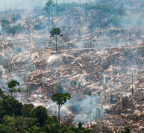 DeioCe's tweet photo. Bolsonaro não completou nem 1 ano de governo, e o nosso maior patrimônio está literalmente virando cinzas.😪😡 #FiresInBrazil  #ForaSalles  #PrayforAmazonas https://t.co/L8ifLeiESl