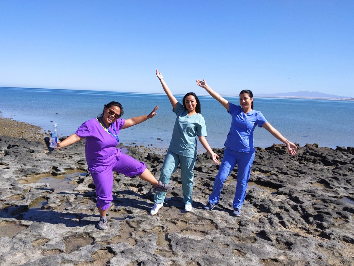 NypHealth's tweet photo. Exploring the beauty of Puerto Penasco during clinic breaks @8HudsonNorth https://t.co/Kd1O4oZx4y