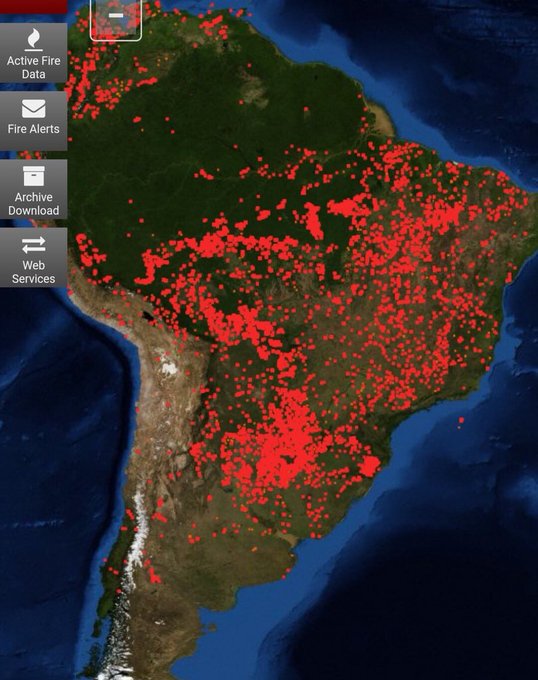 AMAZON FIRE UPDATES - Suspicion Grows As Experts Suggest That Amazon Fires Were Intentional plus MORE ECmV88YXkAEdpaK?format=jpg&name=small