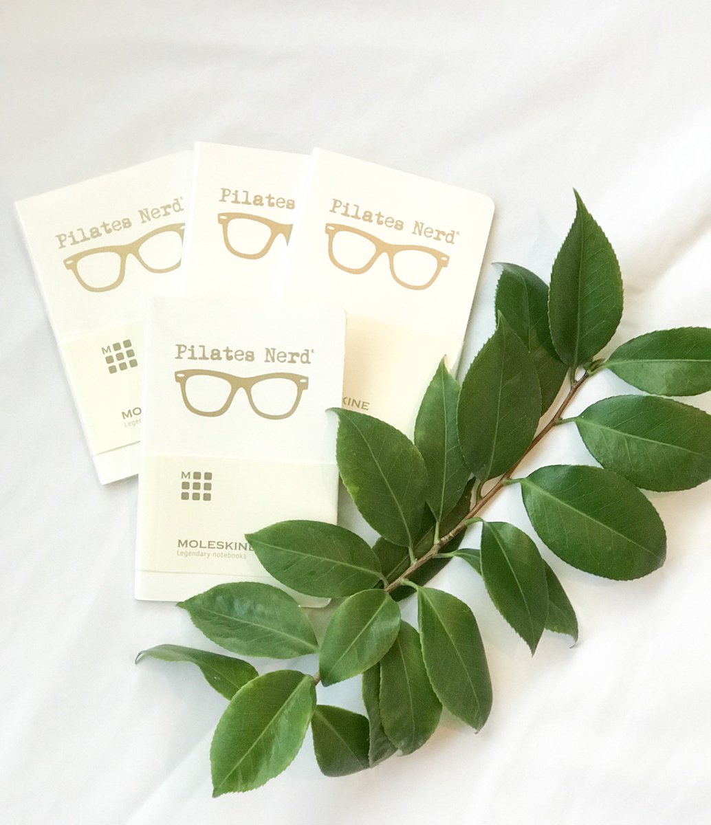 mini moleskine... because we like to take (nerdy) notes