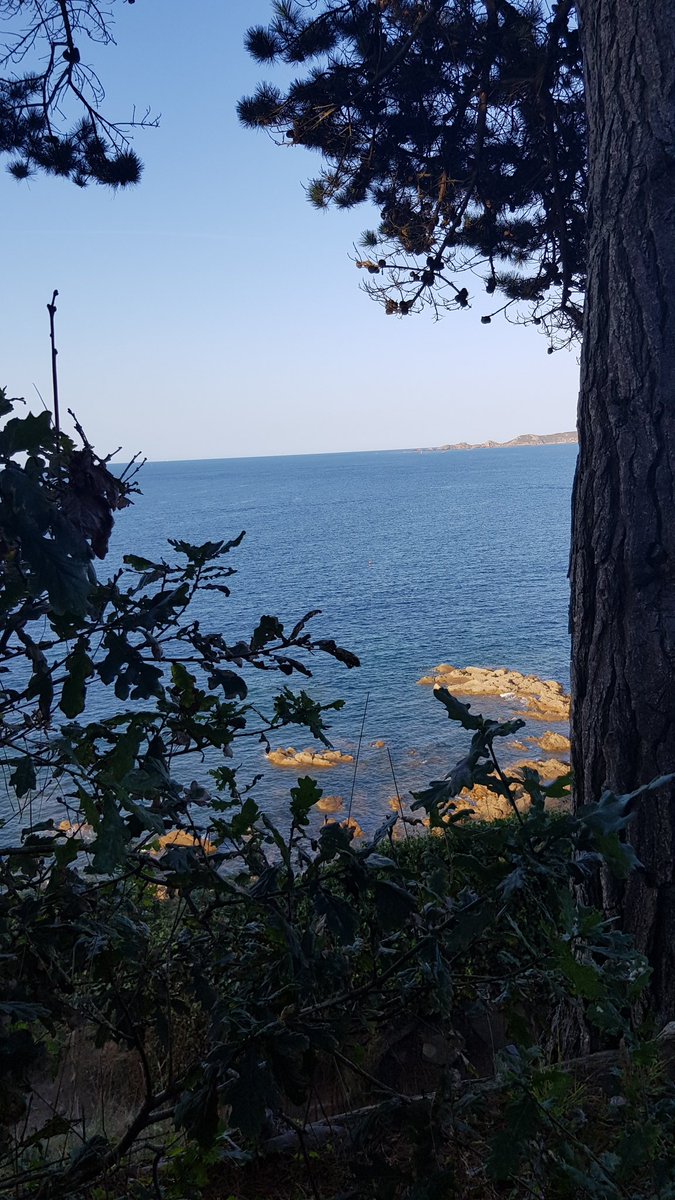 FabriceFauchoux's tweet image. Et dans une région magnifique #workinlannion cc @Anticipa @OrangeBretagne