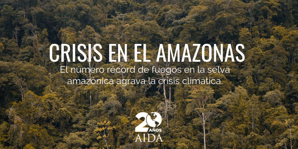 AIDA 🌎 tweet media