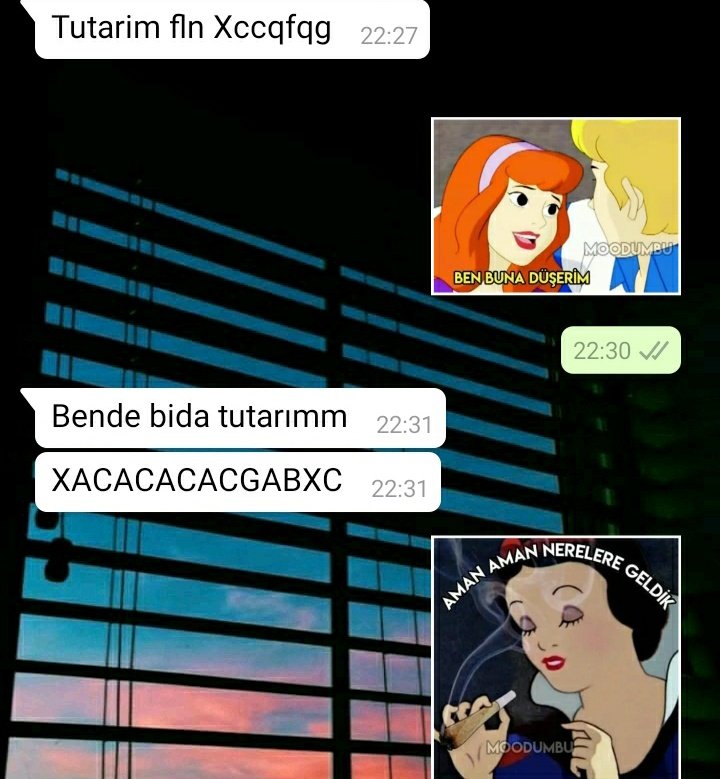 Buse_oztkn's tweet photo. Ani bi sticker hastaligina yakalandimm cok büyülüü https://t.co/2d0CinCD9t