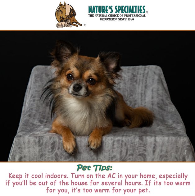 See our Products: naturesspecialtiesmfg.com 
#NaturesSpecialties #PetProducts #PetCare #Pets #PetSupplies #Groomers #PetFacts #FunFacts #PetTips
