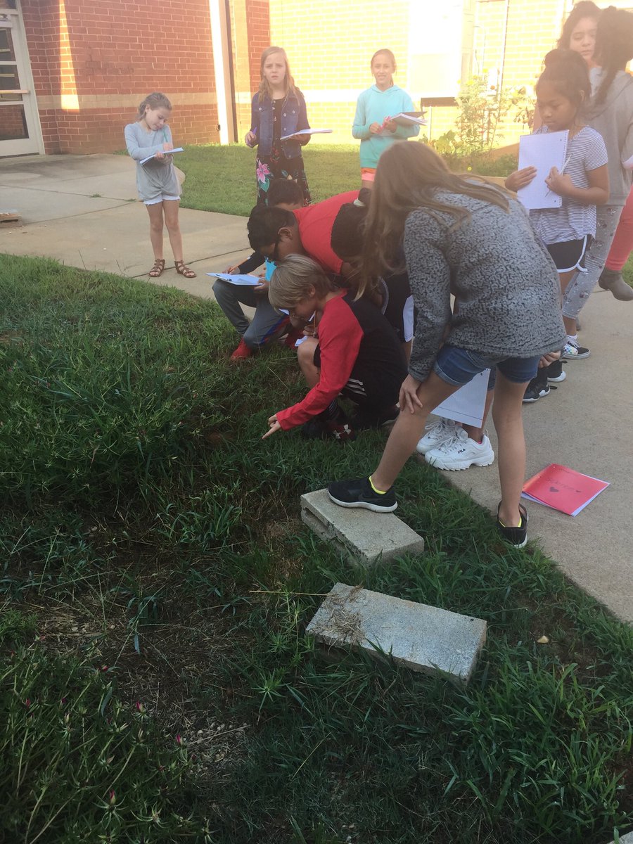 TonyaFehrs's tweet photo. Producers, consumers, and decomposers are all around us! #takescienceoutside @R_M_Moore_Elem https://t.co/CBdCixWESV
