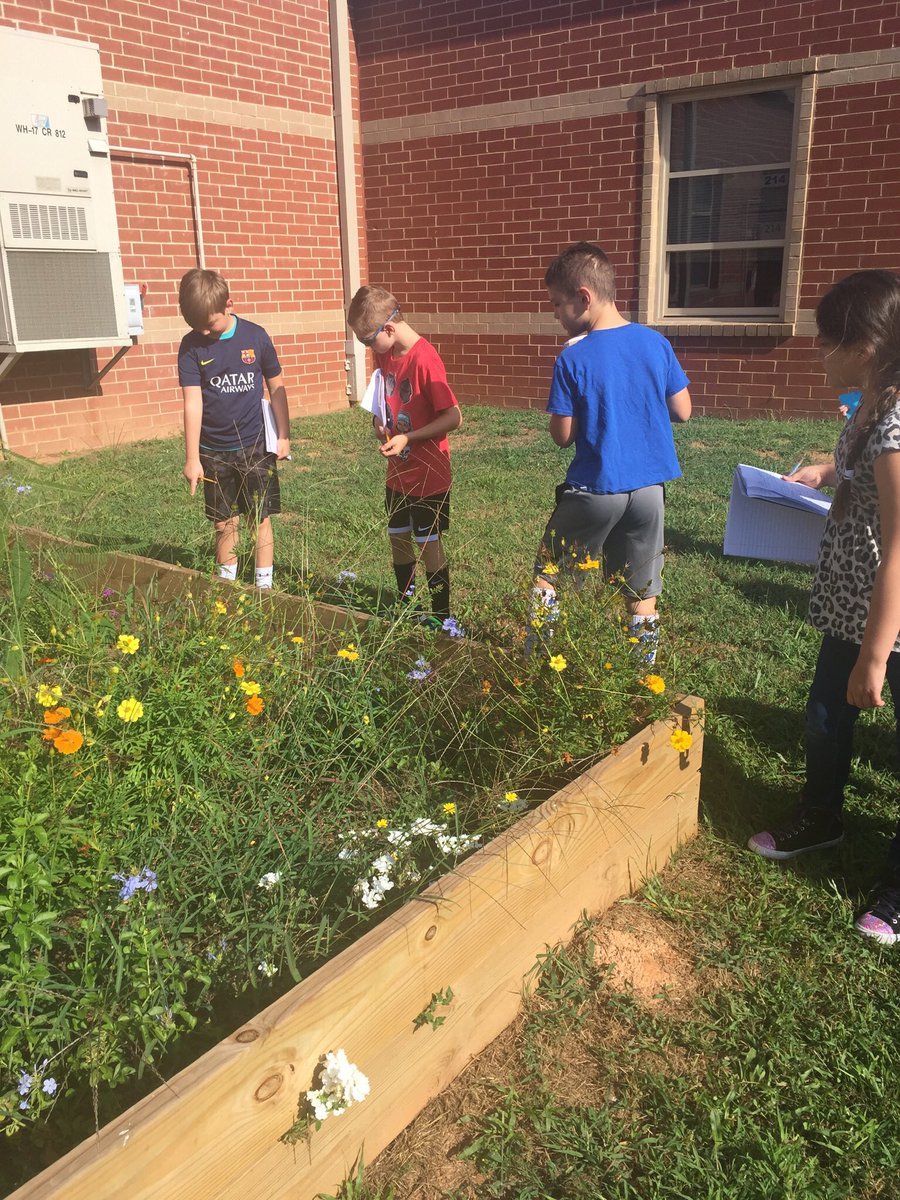 TonyaFehrs's tweet photo. Producers, consumers, and decomposers are all around us! #takescienceoutside @R_M_Moore_Elem https://t.co/CBdCixWESV