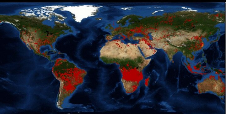 Cada punto rojo es un incendio de bosque en desarrollo. Si unos son de temporada, la magnitud global si es preocupante. #AmazonFire
#GlobalFire

Imagen de la NASA