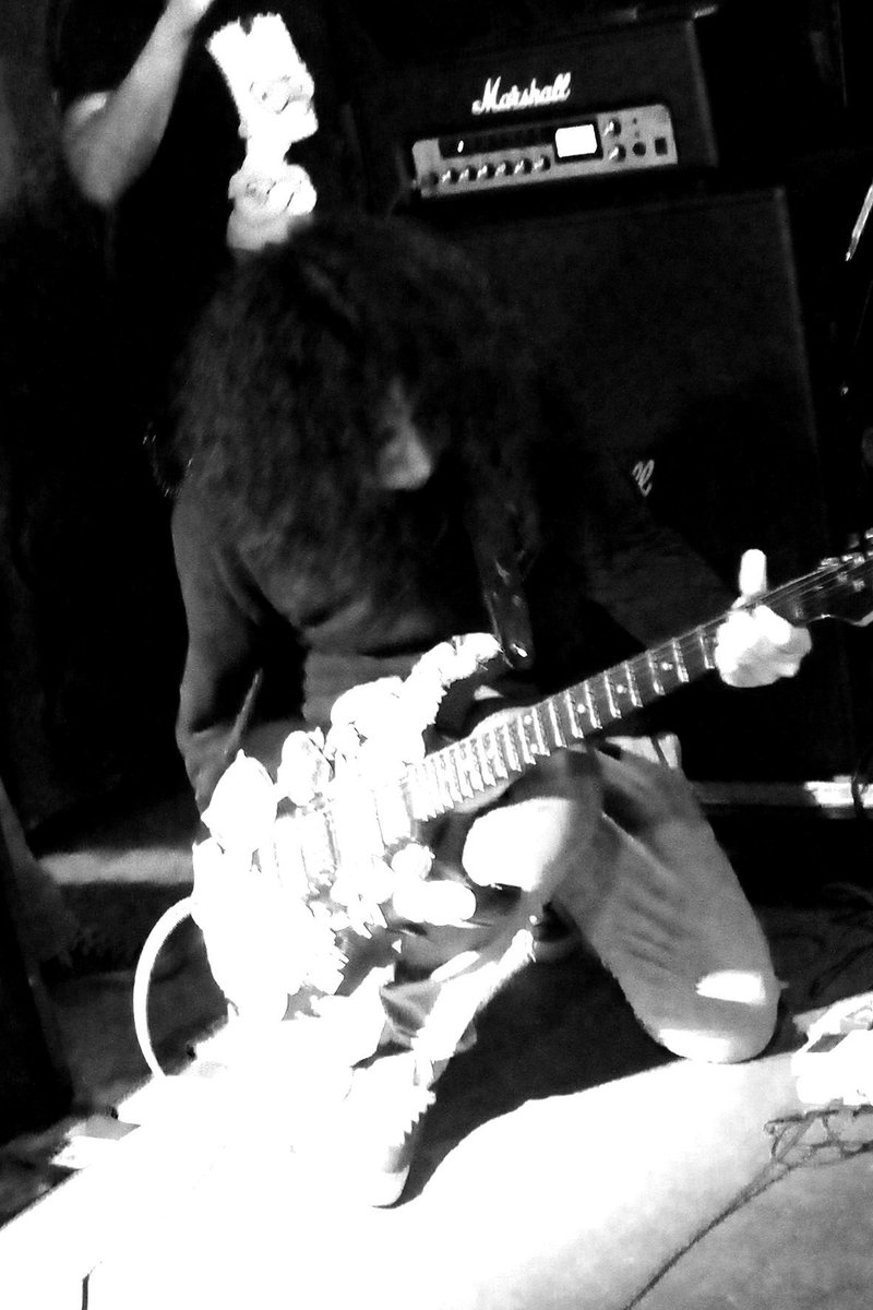 Bullphalo tweet media