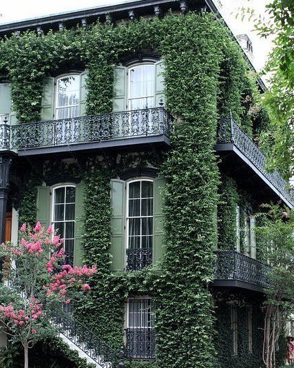 VisitSavannah's tweet image. Retweet if you love Savannah's incredible architecture! [📸: @davidgerarddelaunay]