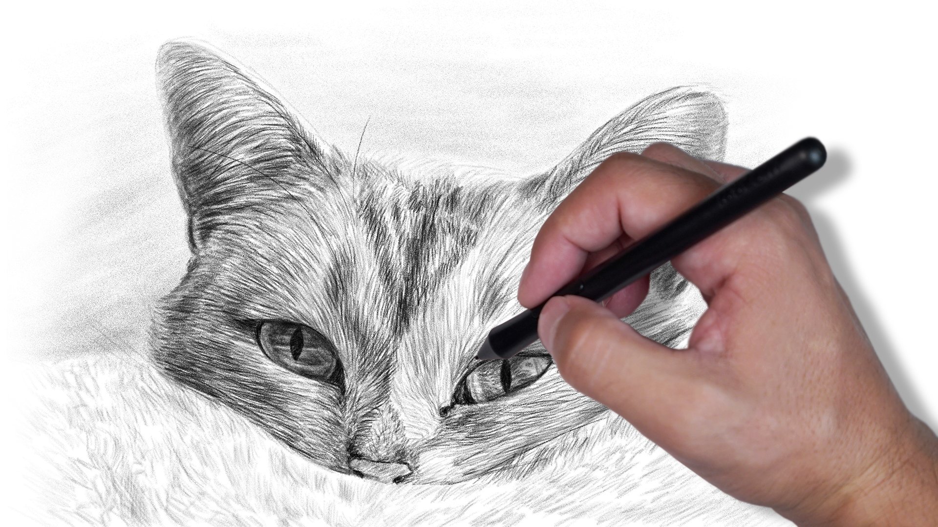 Нарисовать объемного кота