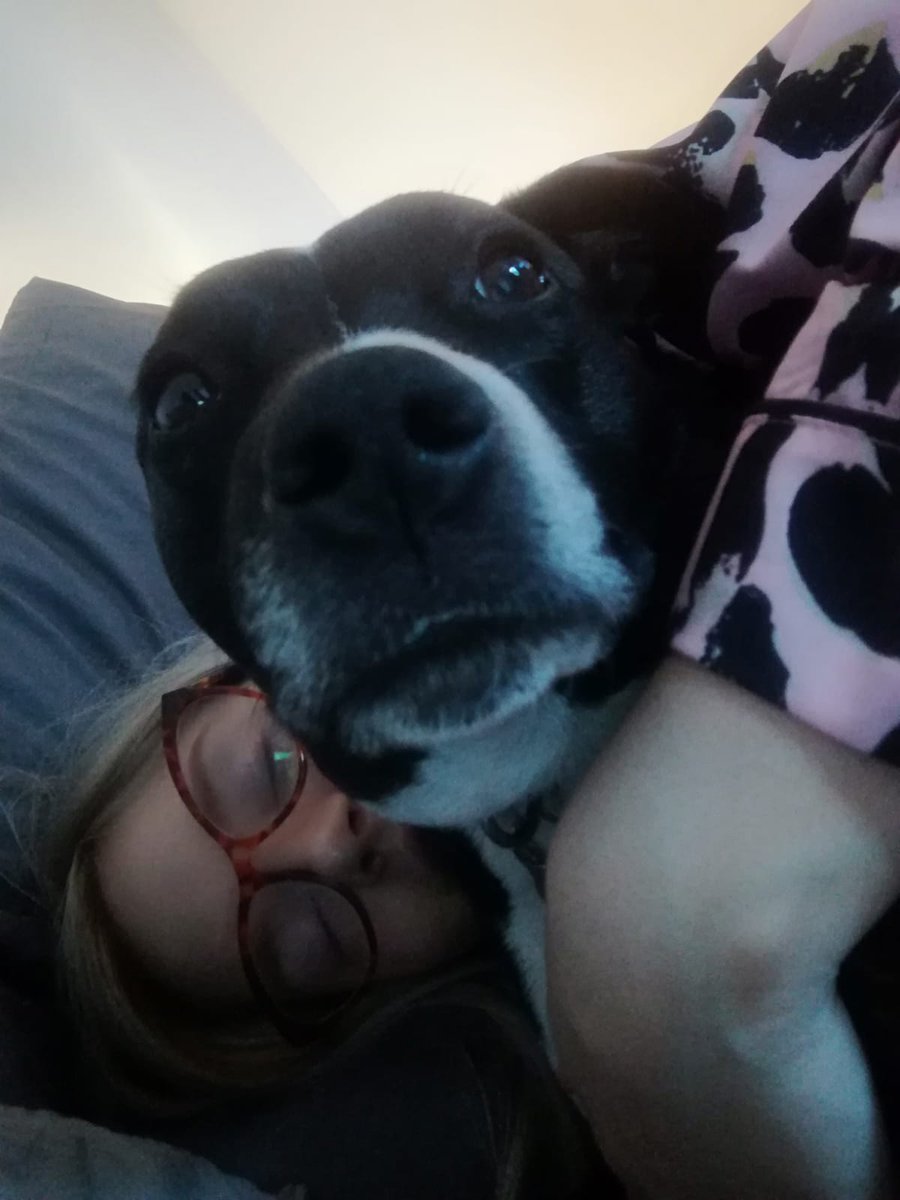 Day 1 of 7 photos of my life. The rules: no humans, no explanations, and challenge one new 🐶 each day to do the same for 7 days.

I was 1st challenged by <a href="/LolaCapricola/">Lola & Chester & Rocco</a>
I now challenge <a href="/stephenhillbill/">Rudy & Angel Buster</a> (sawwyyy if u already chawwenged)