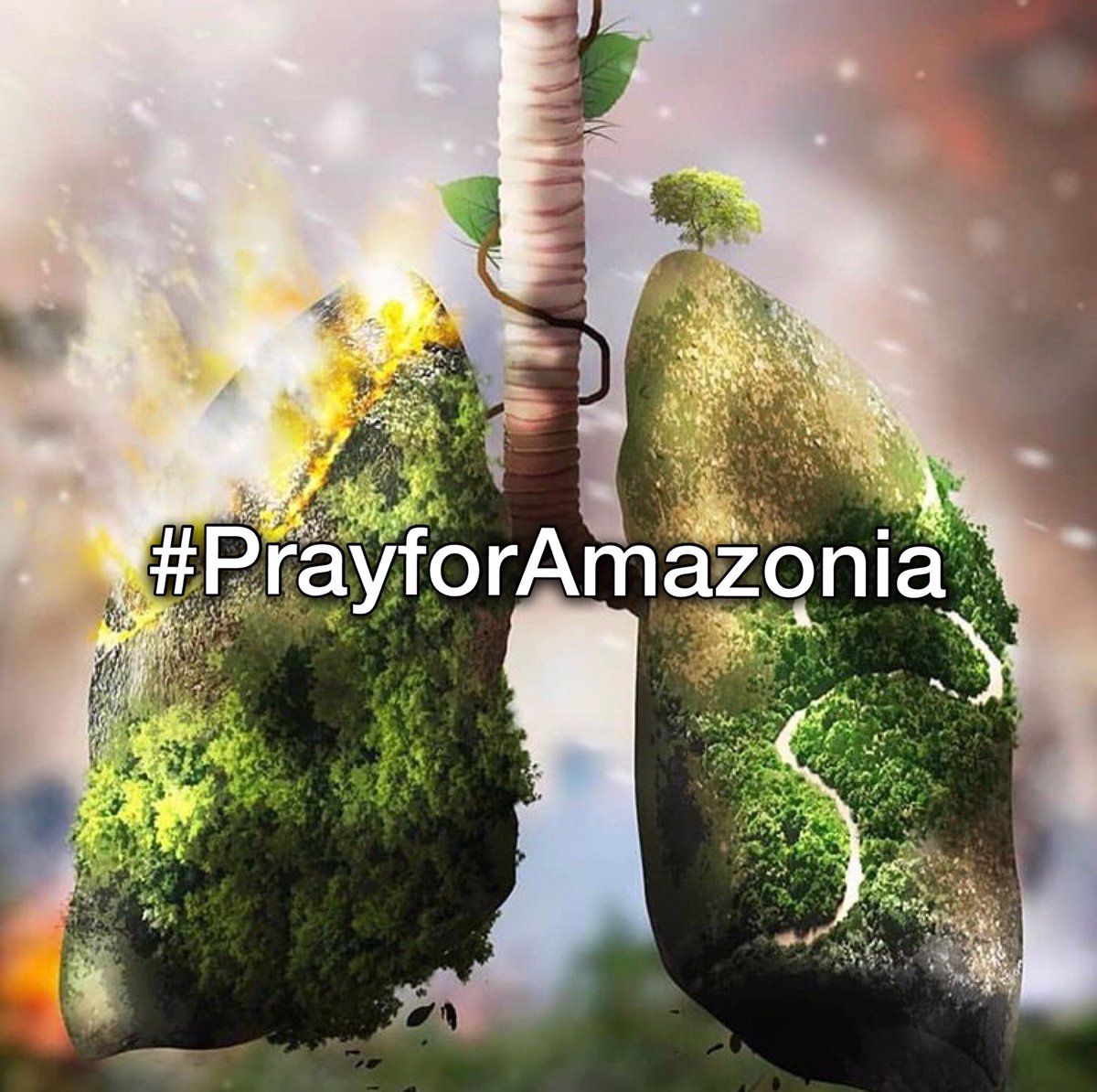 DoveCameronStar's tweet photo. What��s happening to Amazonia is terrifying and heartbreaking... This is one of the most important ecosystems on heart... We are talking about OUR oxygen! We are talking about OUR breath!AMAZONIA IS BURNING FOR 3 WEEKS AND NOBODY IS DOING ANYTHING!
#PrayforAmazonia #SaveThePlanet https://t.co/3X5pzzZhvj