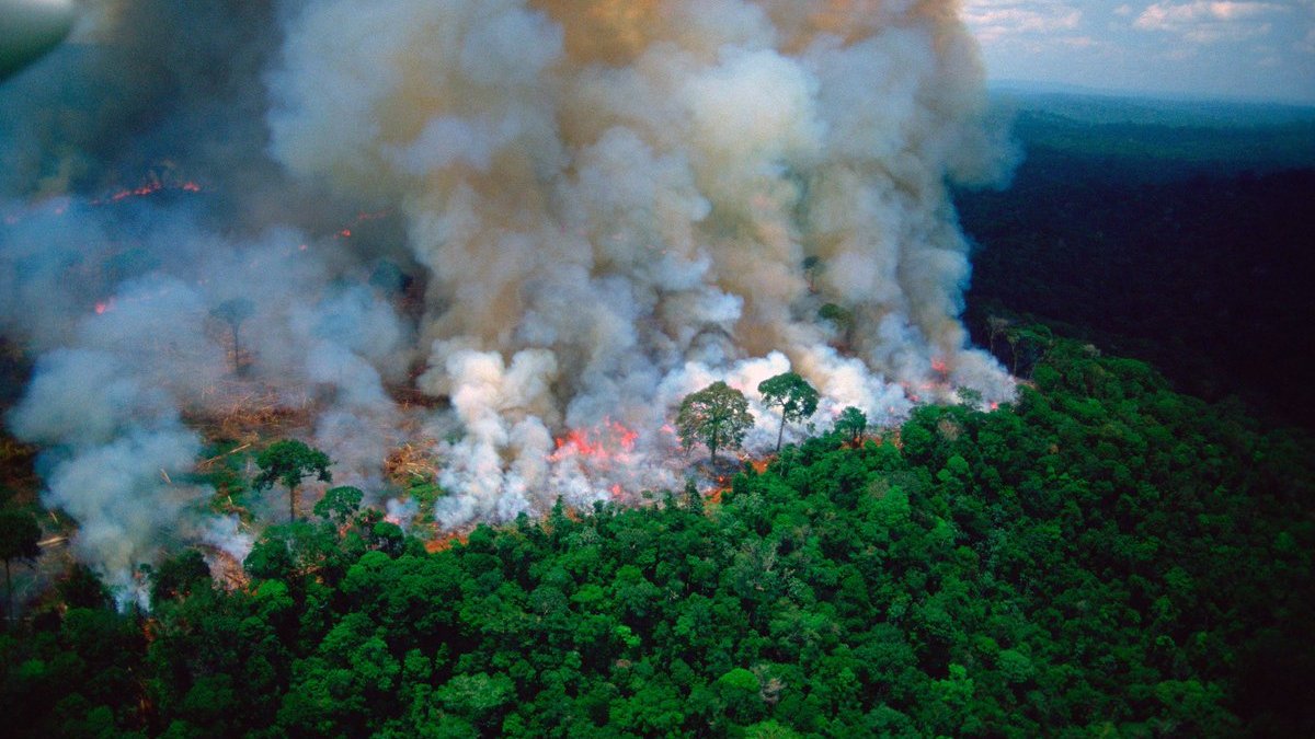 bchartsnet's tweet photo. 🚨URGENTE! França convoca reunião de emergência com líderes do G7 para tratar sobre a Amazônia e presidente do Brasil se confirma uma chacota mundial. https://t.co/Cs0kx0FbeP https://t.co/VbiiBkj8FO