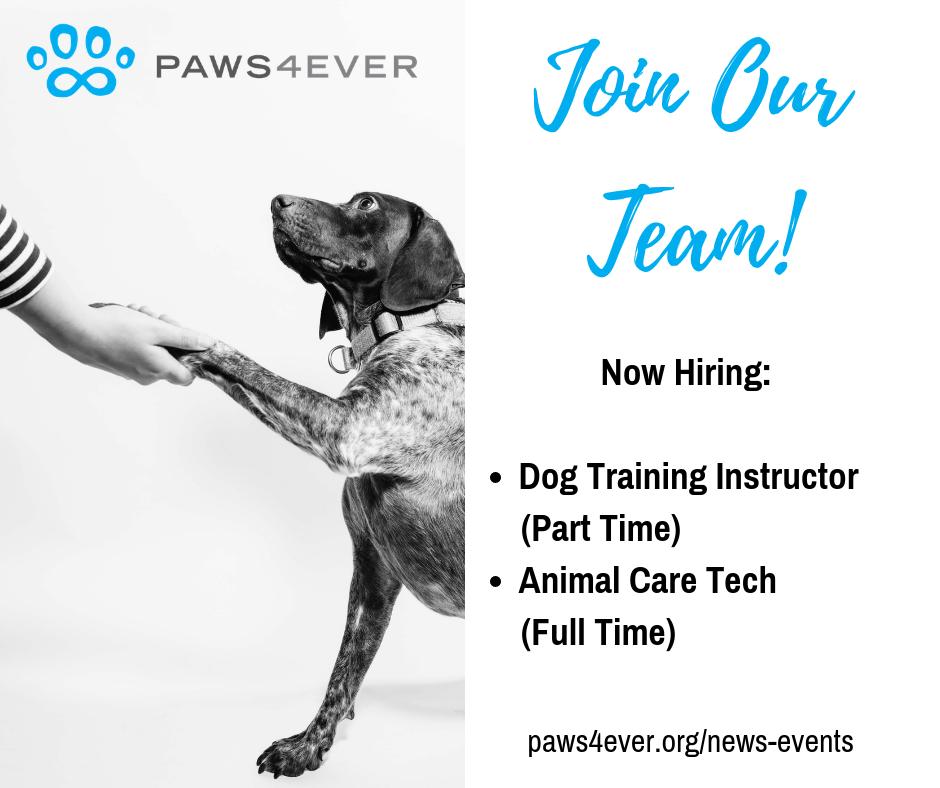 paws4ever_nc's tweet photo. Paws4ever is looking for an Animal Care Tech and a Dog Training Instructor to join our committed and passionate staff team! Details at https://t.co/Z9vxCespxz https://t.co/v2Zw24Hqg5