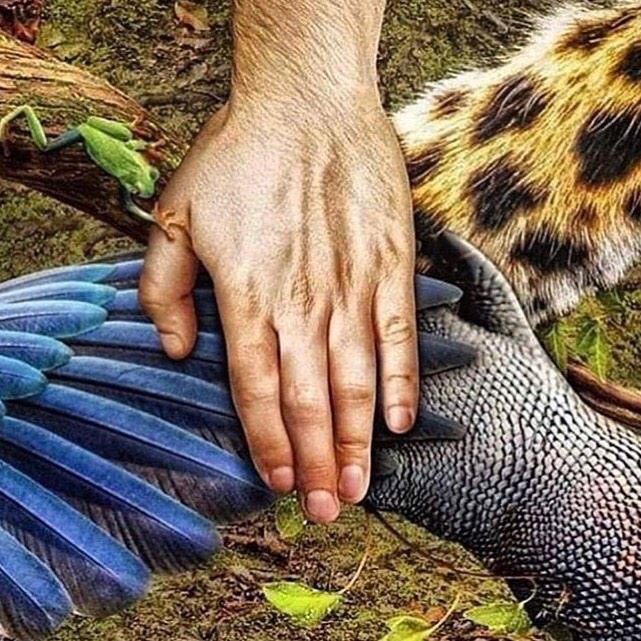 lulibaroni's tweet photo. #PrayforAmazonia https://t.co/ALiPUGcs50