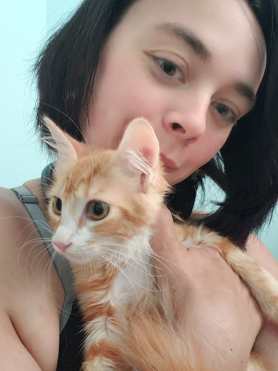 MasroShadowstar's tweet photo. Meet Our shelter adopted kitty Sheev #StarWars #palpatine4ever @HamillHimself @starwars #sitheyes https://t.co/eWpPqrcWON