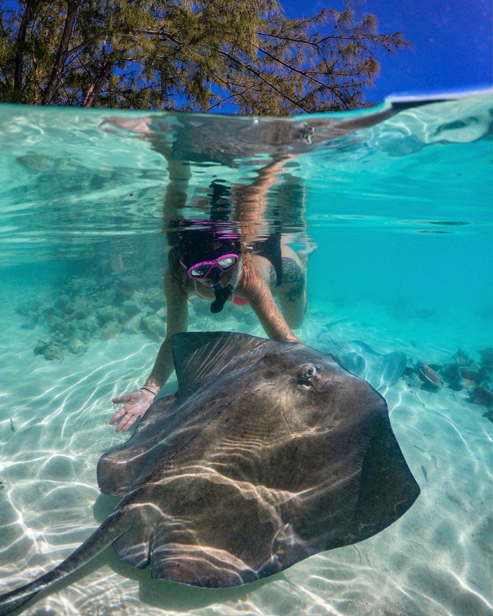 MakersAir's tweet photo. Some things you just need to live, up close & personal.
📸: calicapela / IG
Join our #MakersMiles Rewards Program: https://t.co/Z4mhK2zGAl
#MakersAir #DestinationsMade #FortLauderdale #thebahamas #myoutislands #privatecharter #scheduledflights #airfreight #islandtravel https://t.co/LmlRmESCGw