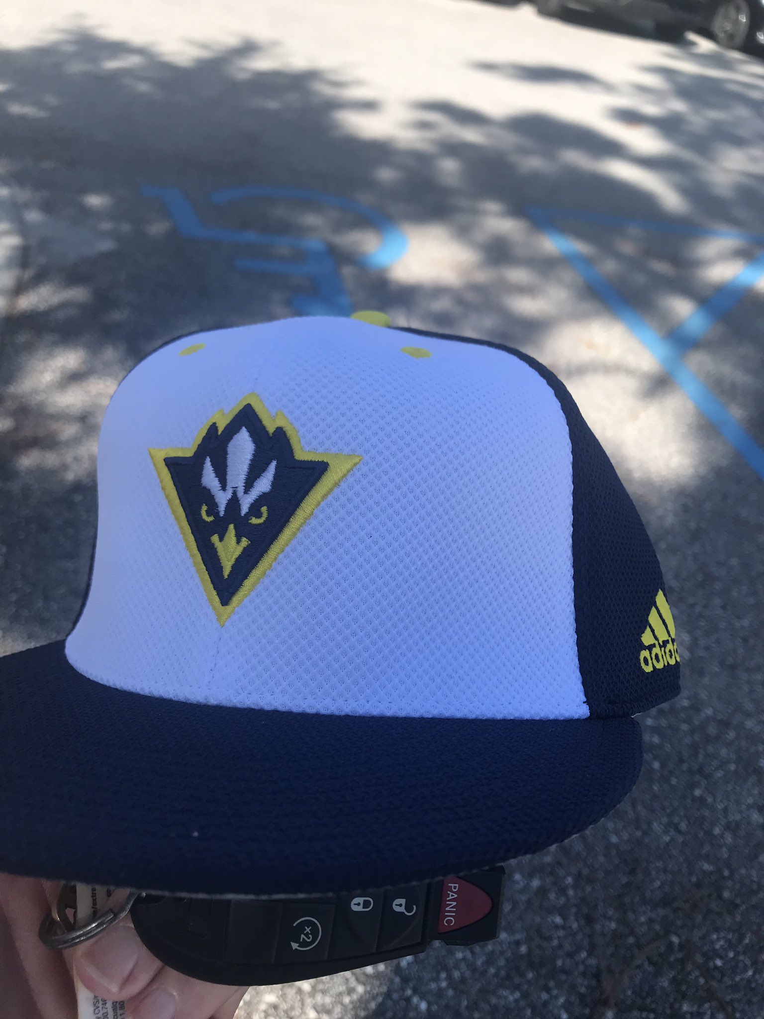 uncw baseball hat
