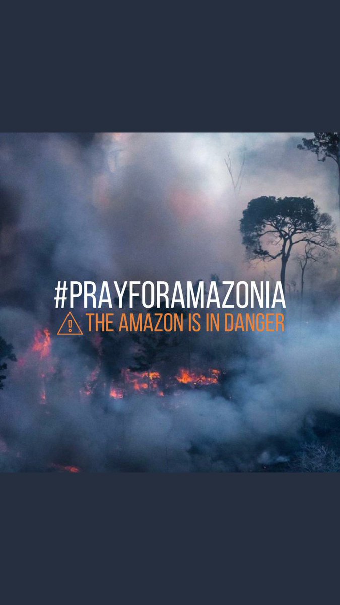 moinalisareal's tweet photo. I dont pray that often anymore but I'll pray for this. For the lung's of the planet to heal.
#PrayForAmazonia https://t.co/XTzSpbMvHS