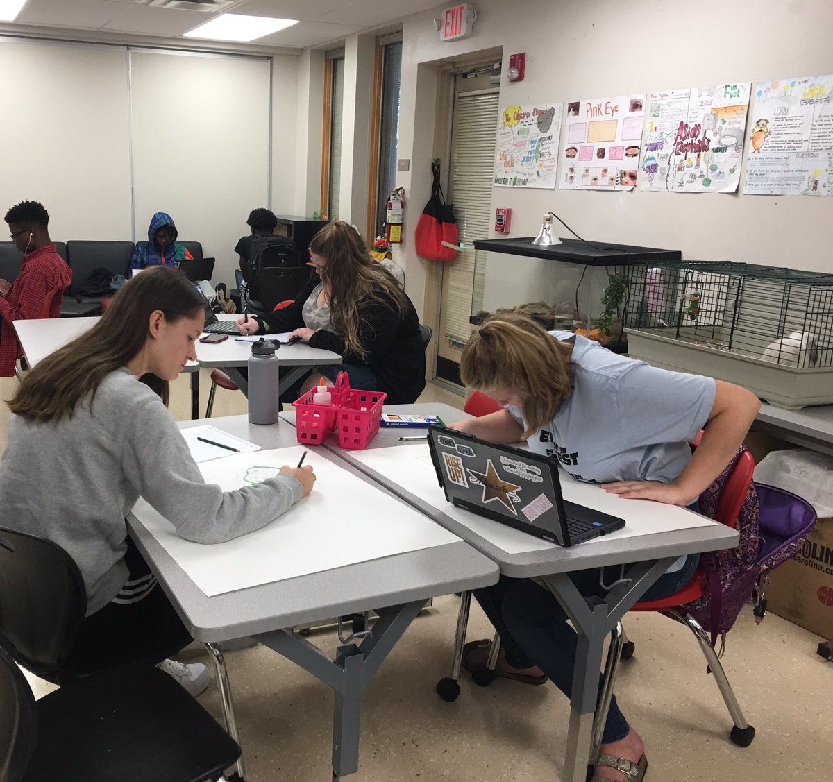 LisaKiese's tweet image. Starting Biology with a cell structure &amp;amp; function project!  @LakotaAcademy 
#whatisscience 
#WEareLakota