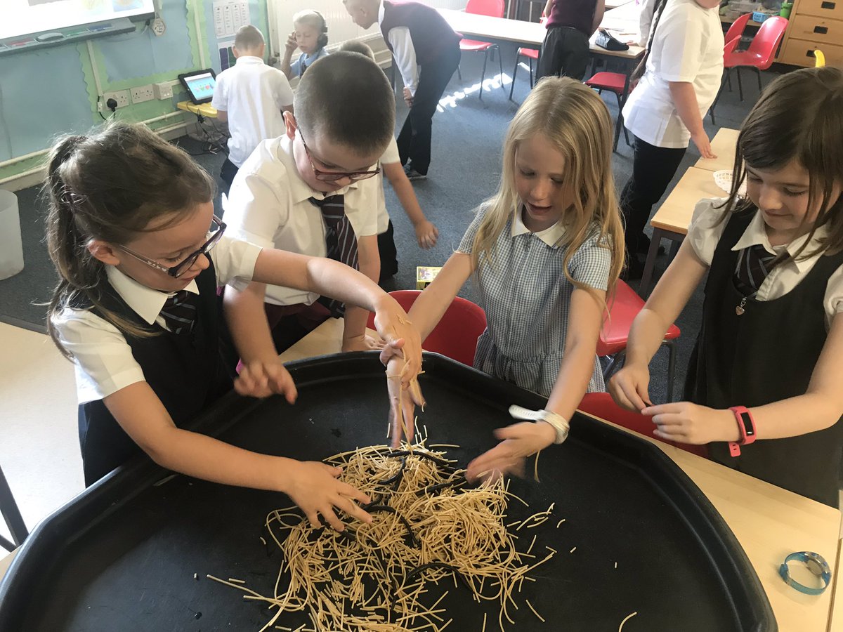 MrsNScott2018's tweet photo. P3 @stdavidsprimary are having fun reading Roald Dahl’s ‘The Twits’ together. Today we read about Mrs Twit’s Wormy Spaghetti trick she played on Mr Twit! #ReadingFun #WormySpaghetti https://t.co/wzOV1I5YSu