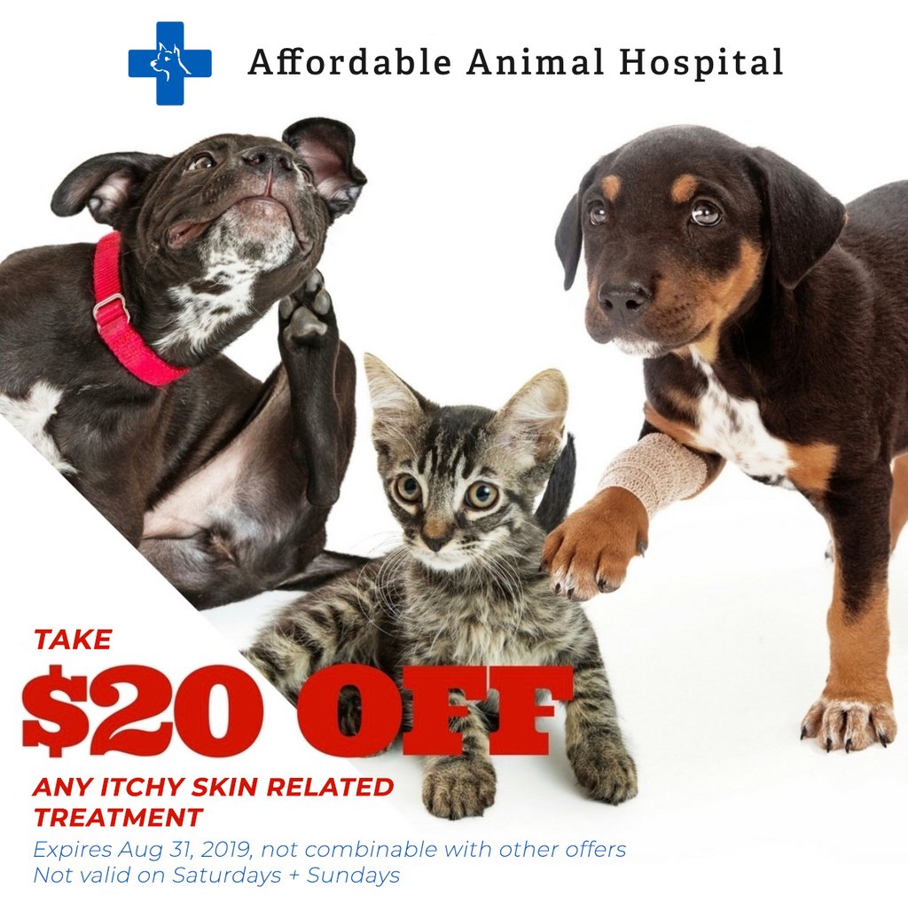 Affordable Animal Hospital (@aahsocal) / Twitter Affordable Animal Hospital (@aahsocal) / Twitter