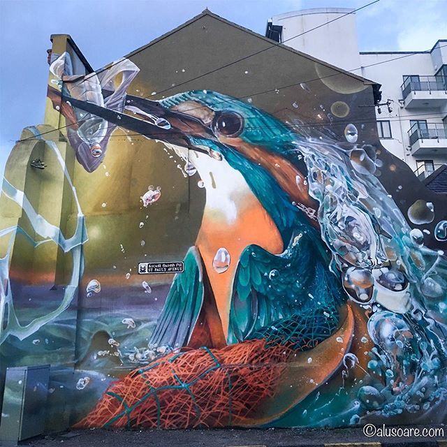 alusoare's tweet photo. I was going through Cork the other day visiting my sister and then o was like...WAIT! this is new 😍 so the story is and I quote here from @irish_examiner >> "The idea was to create something beautiful but also to make an impact and highlight the issu… https://t.co/8XWF4D5kCY https://t.co/XWtnAZyA0i