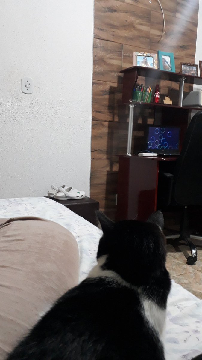 Fatiisantoss's tweet photo. Quando sua bebezinha não desgruda de você.
❤ https://t.co/tlZgBZQCpP