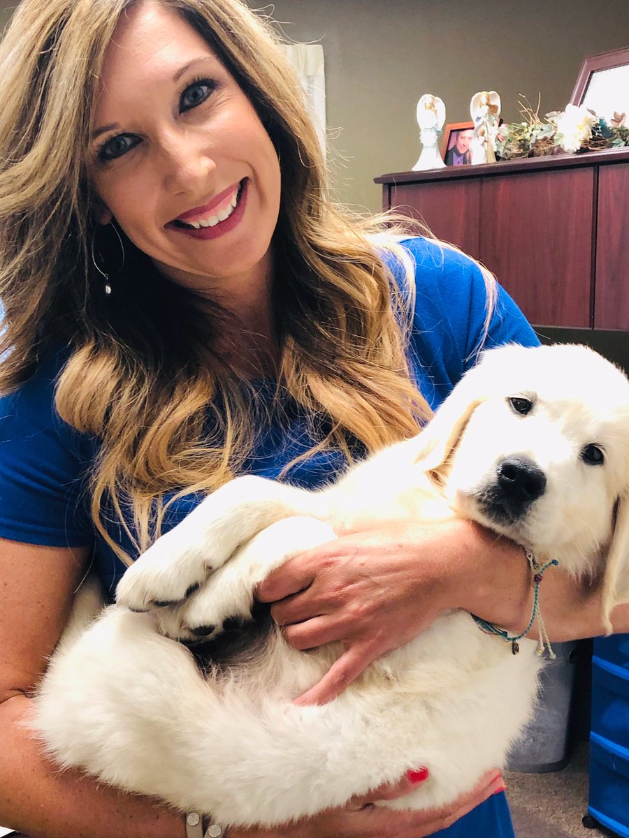 HC_LivingBetter's tweet photo. Welcome to Day 6 at College View! Either that puppy is just visiting or Amy received the cutest welcome gift ever! #13firstdays https://t.co/SpszOtZWmh