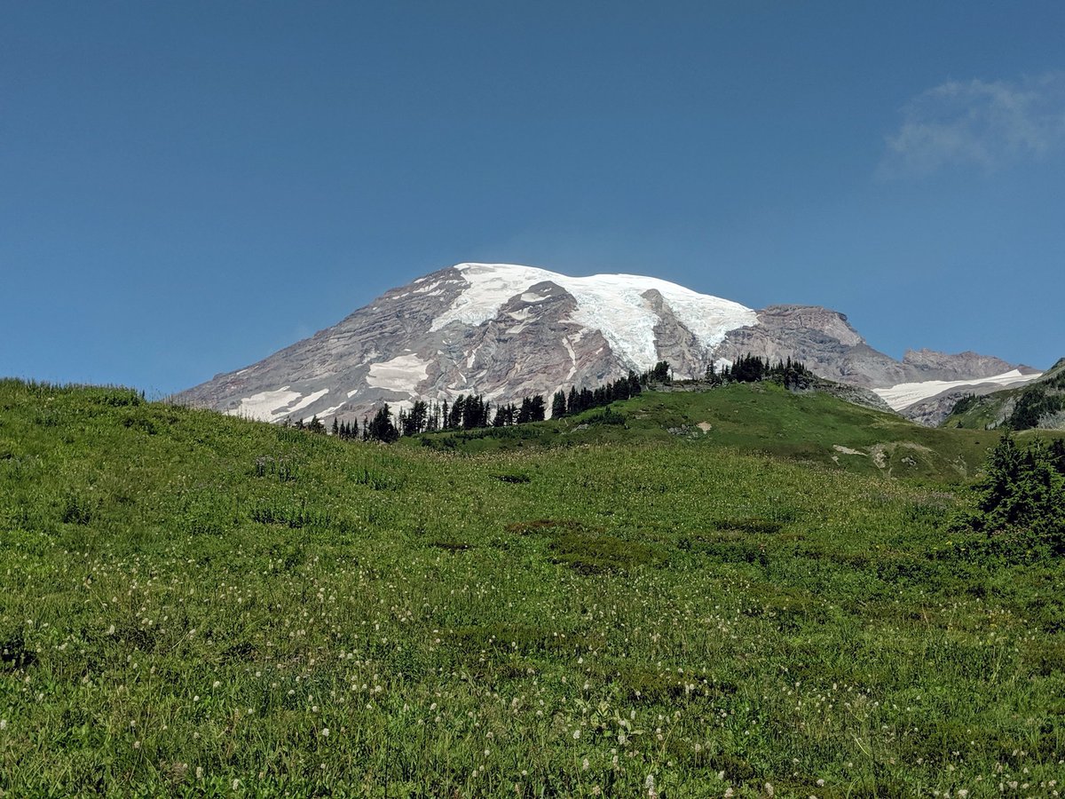 CascadeVistas's tweet photo. Closeups of the Mount Rainier model out in the wild. The wildflowers were still blooming, and there were marmots everywhere. Definitely a magical morning. 

#hiking #mountains #cascades #pnwlove #alpineadventures #mtrainier #findyourpark #nationalpark #mtrainiernps #3dprinting https://t.co/4898GtOitJ