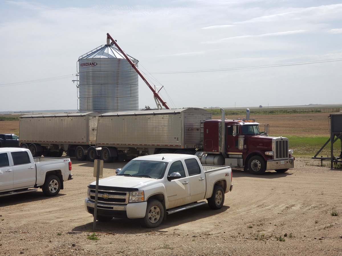 SeaboardSC's tweet photo. Officially our first load of organic product. A red letter day at Seaboard Special Crops Avonlea! https://t.co/bBXbTff8UU