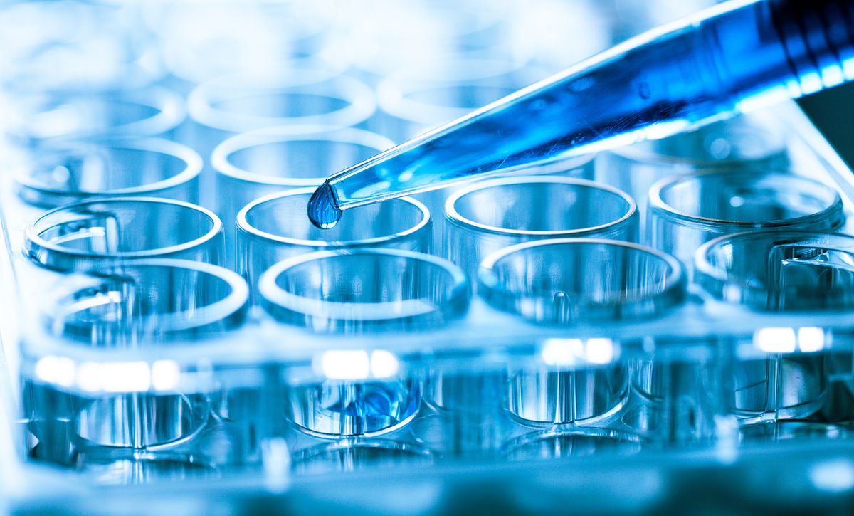 globeandmail's tweet photo. Vancouver-based Chinook Therapeutics raises US$65-million in Versant-led financing https://t.co/UbN0RtI6a8 @GlobeBusiness https://t.co/FwLfzEyuYn