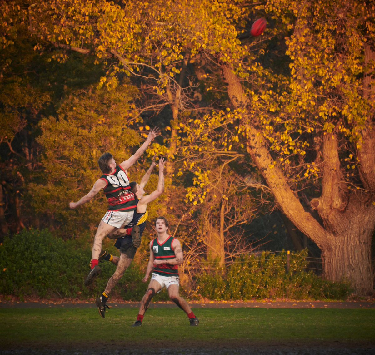 AussieAths's tweet photo. The footy season may be coming to an end but that doesn’t mean you need to slow down! If you want to learn how to leap like this, and get faster and fitter for next season, sign up for #AussieAths today.
➡️ https://t.co/2yQdj0uXH9
📷 Darren Capp feat. @ashyredbacks https://t.co/T2aq1lc7HD