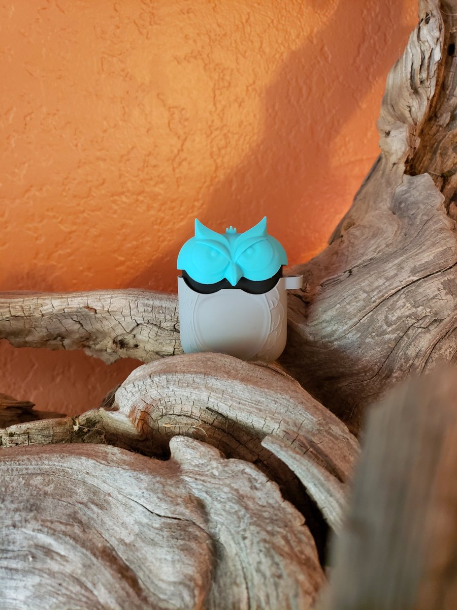 Kyle 🌱 tweet media